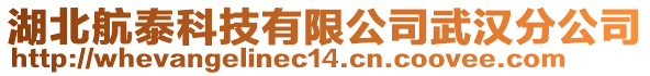 湖北航泰科技有限公司武漢分公司