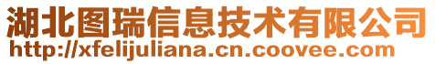 湖北圖瑞信息技術有限公司