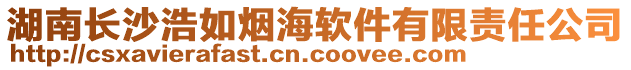 湖南長沙浩如煙海軟件有限責任公司