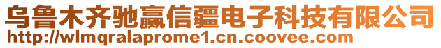 烏魯木齊馳贏信疆電子科技有限公司