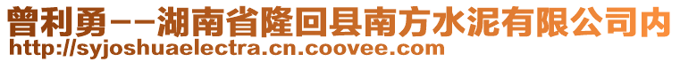 曾利勇--湖南省隆回縣南方水泥有限公司內