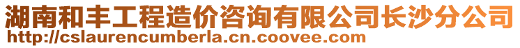 湖南和豐工程造價(jià)咨詢有限公司長(zhǎng)沙分公司