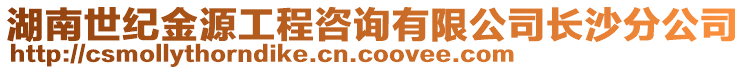 湖南世紀(jì)金源工程咨詢有限公司長沙分公司