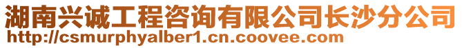 湖南興誠工程咨詢有限公司長沙分公司