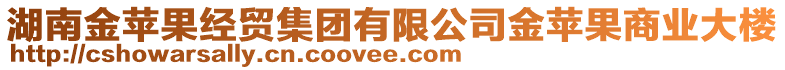 湖南金蘋果經(jīng)貿(mào)集團有限公司金蘋果商業(yè)大樓