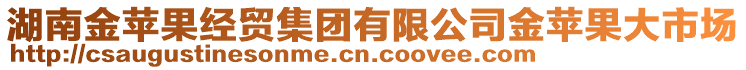 湖南金蘋(píng)果經(jīng)貿(mào)集團(tuán)有限公司金蘋(píng)果大市場(chǎng)