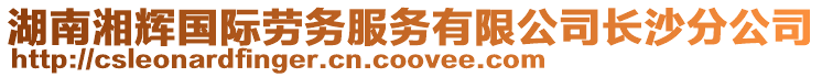 湖南湘輝國際勞務服務有限公司長沙分公司