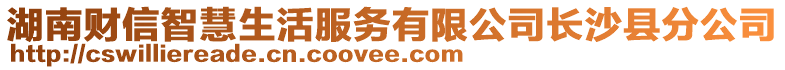 湖南財信智慧生活服務有限公司長沙縣分公司