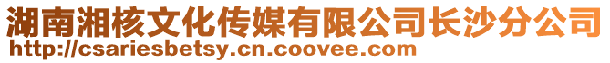 湖南湘核文化傳媒有限公司長沙分公司