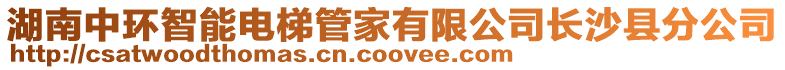 湖南中環(huán)智能電梯管家有限公司長沙縣分公司