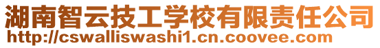 湖南智云技工學校有限責任公司