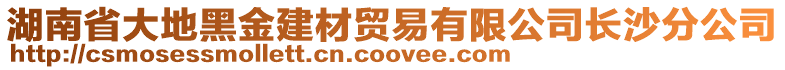 湖南省大地黑金建材貿易有限公司長沙分公司