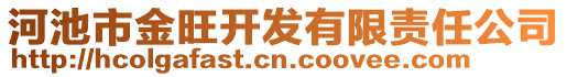 河池市金旺開發有限責任公司