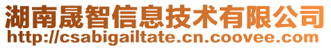 湖南晟智信息技術(shù)有限公司