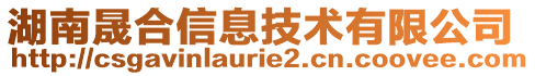 湖南晟合信息技術有限公司