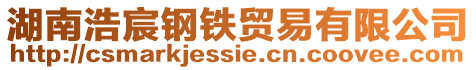 湖南浩宸鋼鐵貿易有限公司