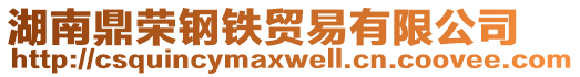 湖南鼎榮鋼鐵貿(mào)易有限公司