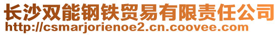 長沙雙能鋼鐵貿易有限責任公司