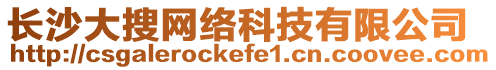 長沙大搜網絡科技有限公司