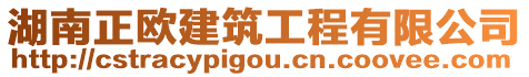 湖南正歐建筑工程有限公司