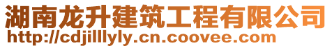 湖南龍升建筑工程有限公司
