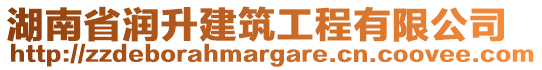湖南省潤升建筑工程有限公司
