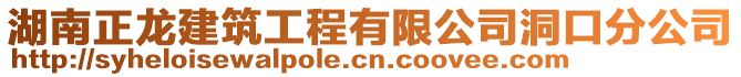 湖南正龍建筑工程有限公司洞口分公司