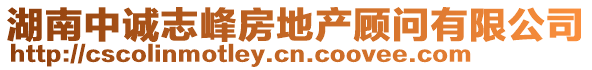 湖南中誠(chéng)志峰房地產(chǎn)顧問(wèn)有限公司