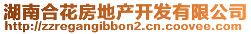 湖南合花房地產(chǎn)開(kāi)發(fā)有限公司