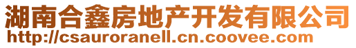 湖南合鑫房地產(chǎn)開發(fā)有限公司