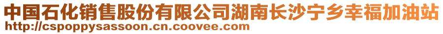 中國石化銷售股份有限公司湖南長沙寧鄉幸福加油站