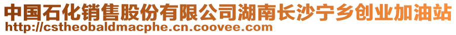 中國石化銷售股份有限公司湖南長沙寧鄉創業加油站