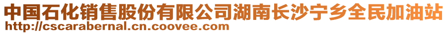 中國石化銷售股份有限公司湖南長沙寧鄉(xiāng)全民加油站