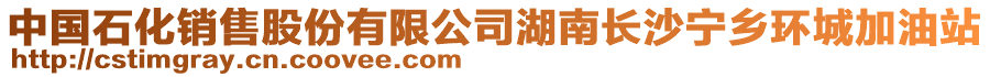 中國石化銷售股份有限公司湖南長沙寧鄉(xiāng)環(huán)城加油站