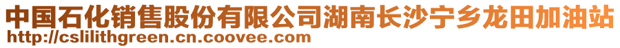 中國石化銷售股份有限公司湖南長沙寧鄉(xiāng)龍?zhí)锛佑驼? style=