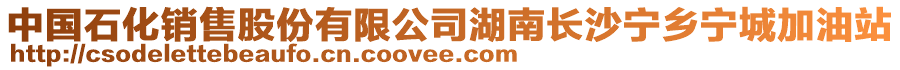 中國石化銷售股份有限公司湖南長沙寧鄉(xiāng)寧城加油站
