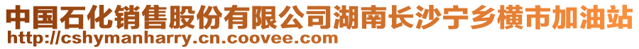 中國(guó)石化銷售股份有限公司湖南長(zhǎng)沙寧鄉(xiāng)橫市加油站