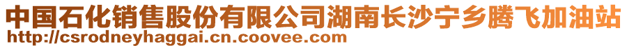 中國(guó)石化銷售股份有限公司湖南長(zhǎng)沙寧鄉(xiāng)騰飛加油站