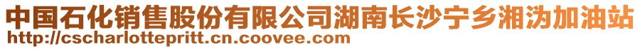 中國石化銷售股份有限公司湖南長沙寧鄉湘溈加油站