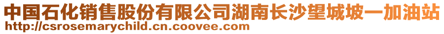 中國(guó)石化銷售股份有限公司湖南長(zhǎng)沙望城坡一加油站