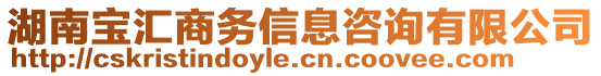 湖南寶匯商務(wù)信息咨詢有限公司