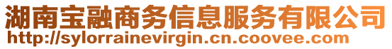 湖南寶融商務(wù)信息服務(wù)有限公司