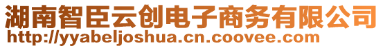 湖南智臣云創(chuàng)電子商務(wù)有限公司