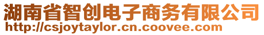 湖南省智創(chuàng)電子商務(wù)有限公司