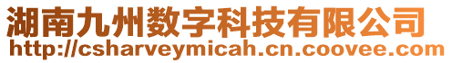 湖南九州數(shù)字科技有限公司