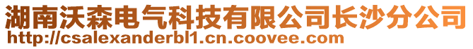 湖南沃森電氣科技有限公司長(zhǎng)沙分公司