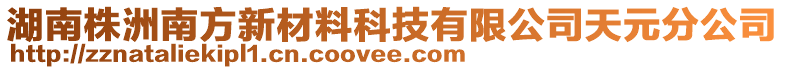 湖南株洲南方新材料科技有限公司天元分公司