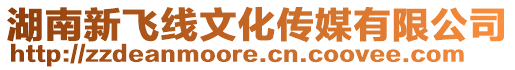 湖南新飛線文化傳媒有限公司