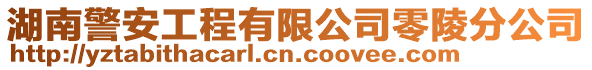 湖南警安工程有限公司零陵分公司