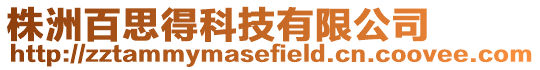 株洲百思得科技有限公司